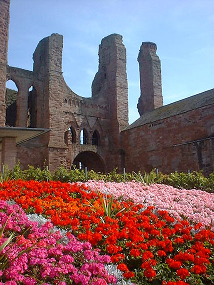 Abroath Abbey showing flower beds.