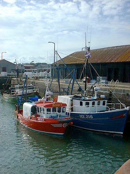 Boats berthed in the outer harbour.